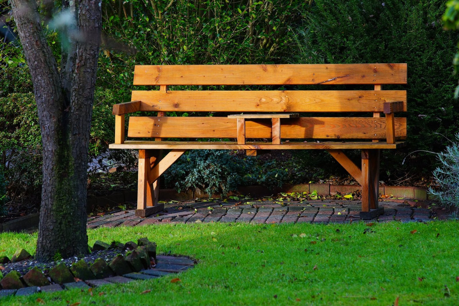 wooden bench in garden